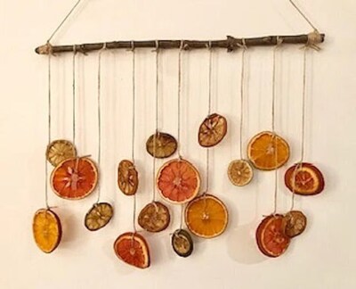 Dried Fruit Citrus Slice Rustic Wall Decor, Kitchen Accent - image1